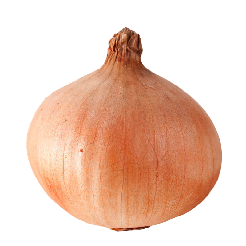 Прямая ссылка onion на рутор